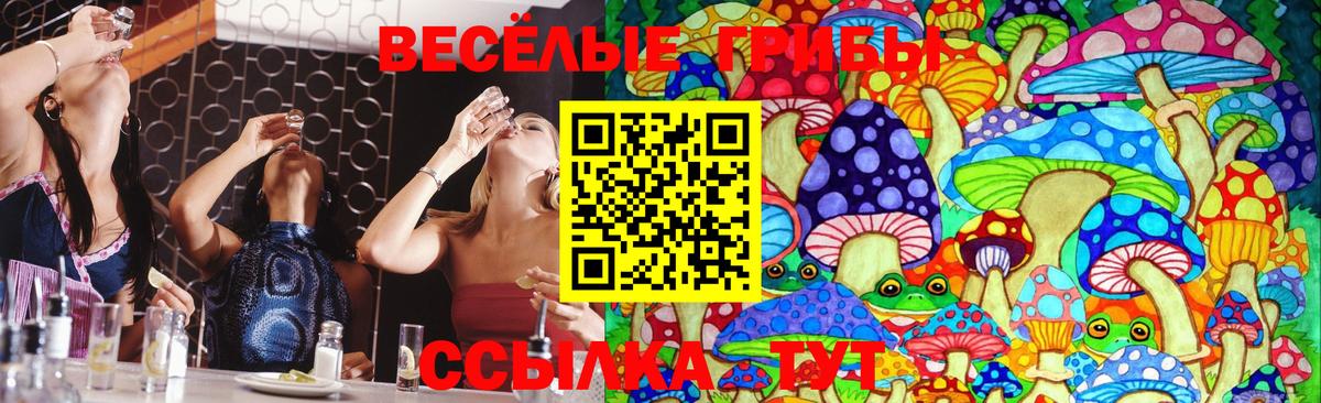 Псилоцибиновые грибы Psilocybine cubensis  Вход с VPN  Псилоцибиновые грибы Psilocybine cubensis  Новосибирск 