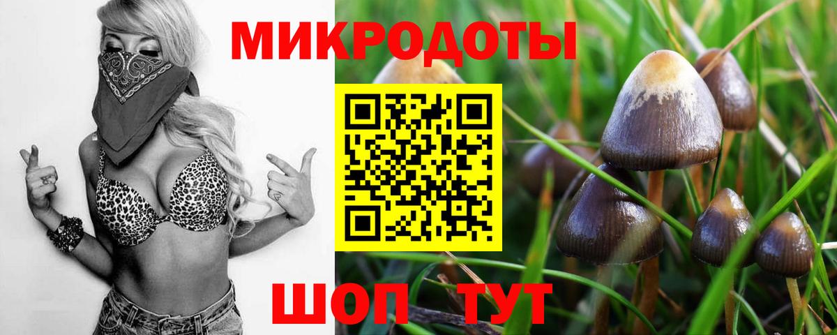 Галлюциногенные грибы Magic Shrooms Новосибирск